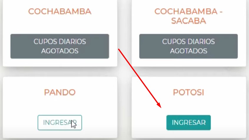 pasaporte boliviano tramite