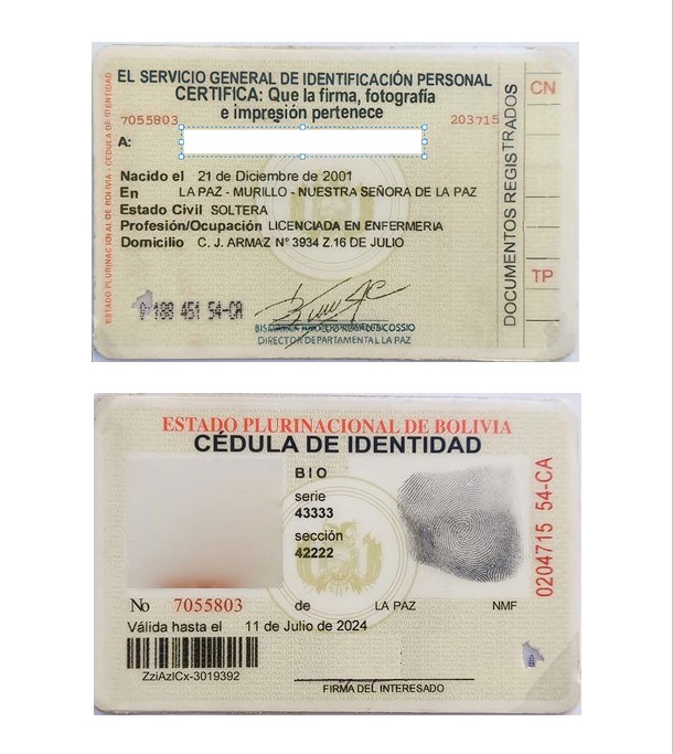 Carnet de Identidad Bolivia para Llenar PDF.png