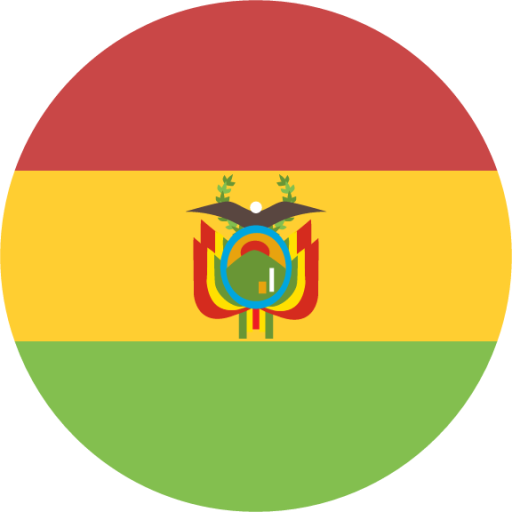 Webmaster Bolivia